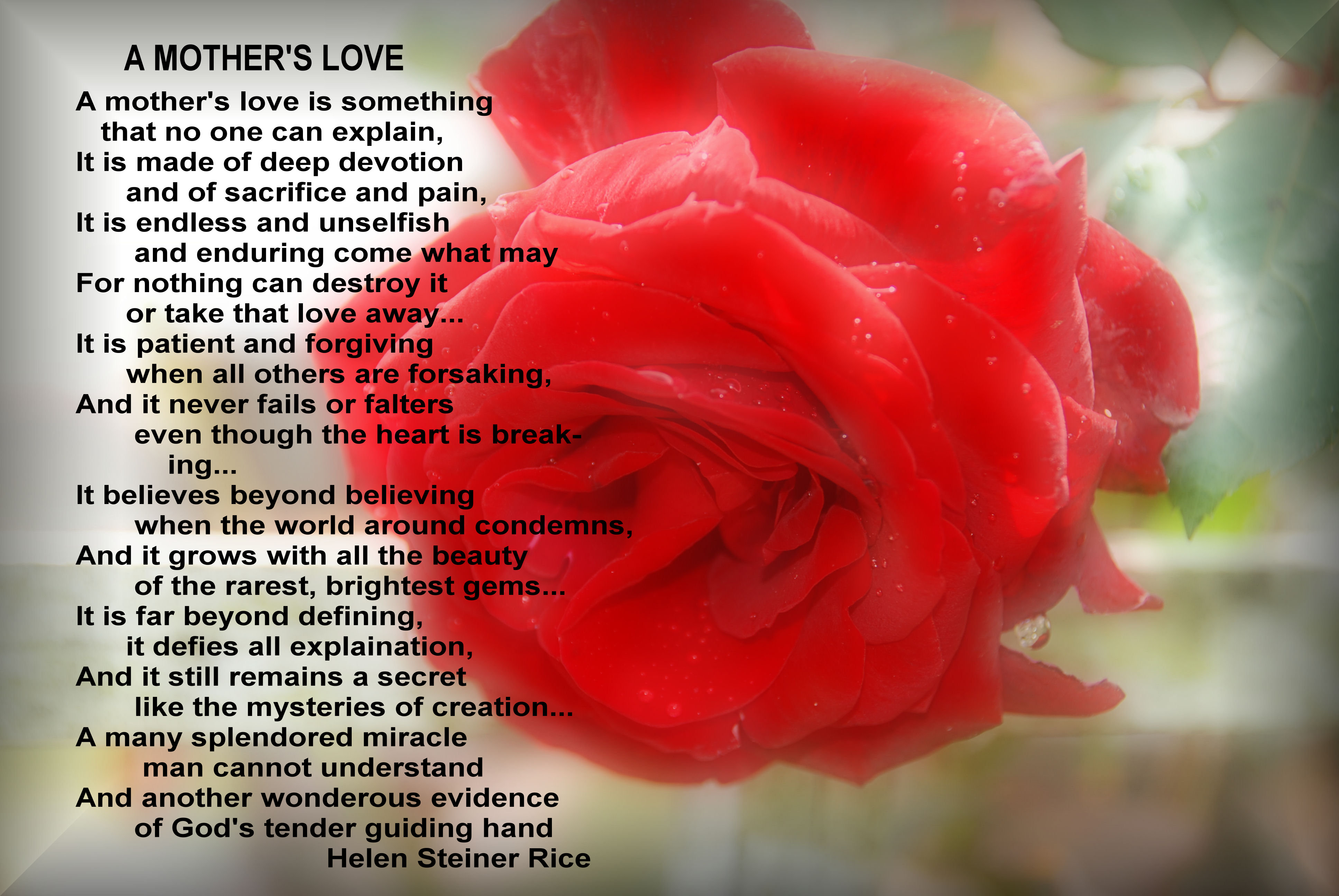 Mothers-Day-Poems-HelenSteinerRice