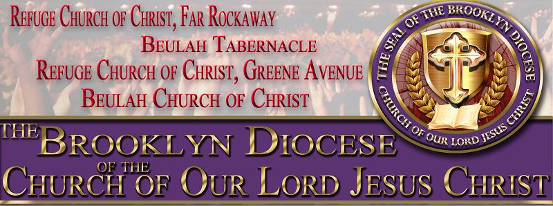 Brooklyn Diocese Banner_Nov2014